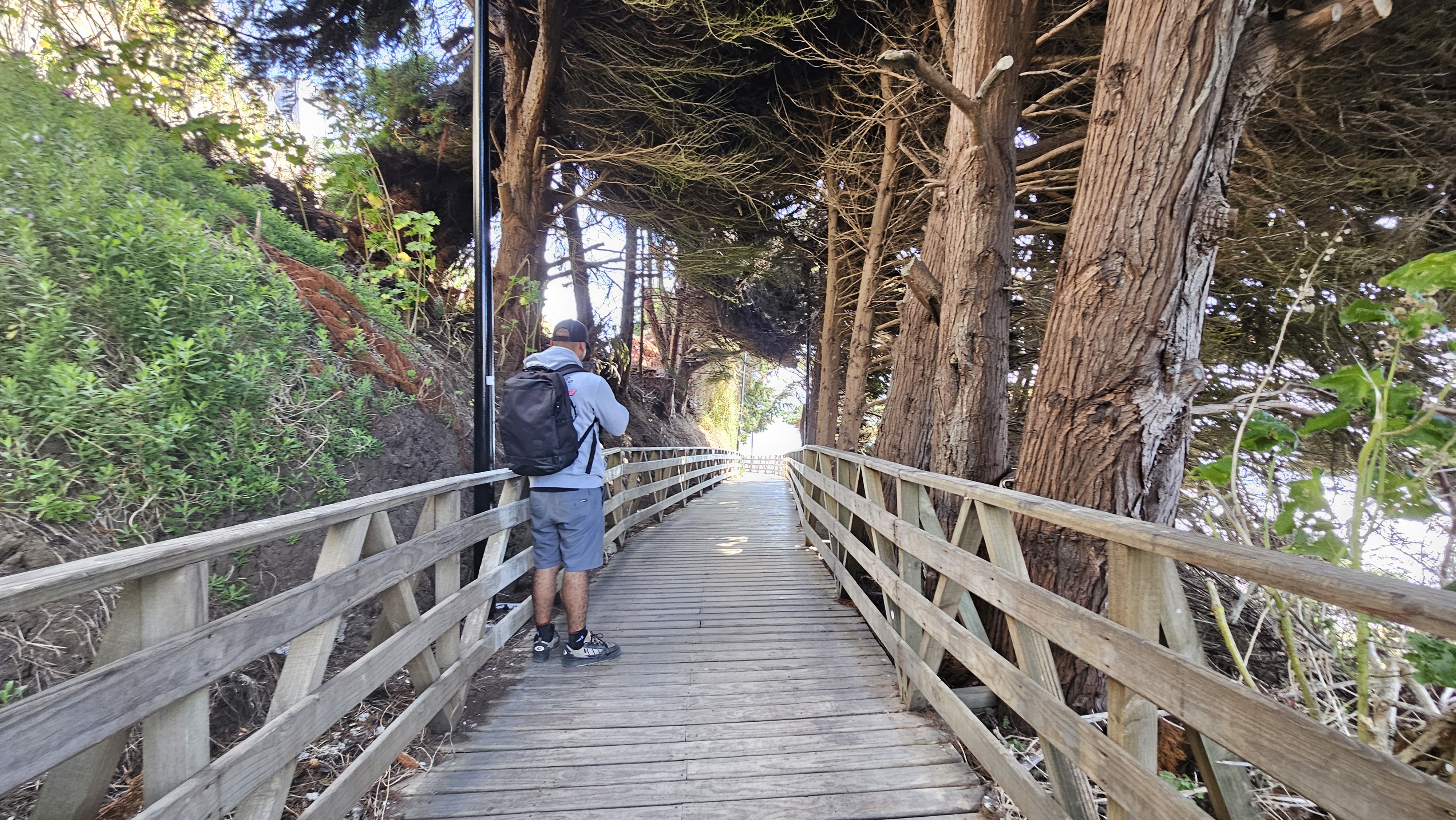 Fotografía del sendero con sector sombreado, se aprecia un turista disfrutando del sector